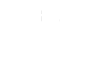 Speed WordPress